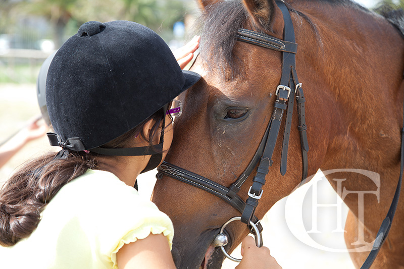 Preparación de exámenes de galopes en Centro Hípico Las Torres