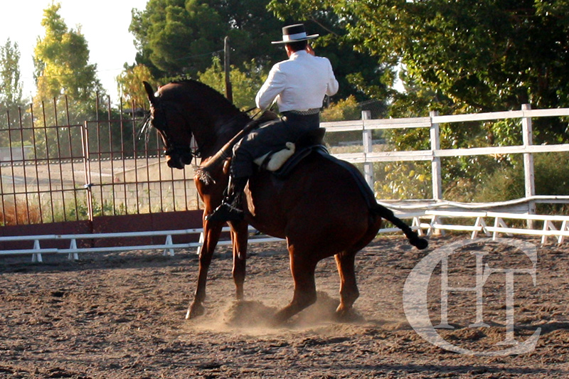 Jinete practicando doma vaquera en Centro Hípico Las Torres