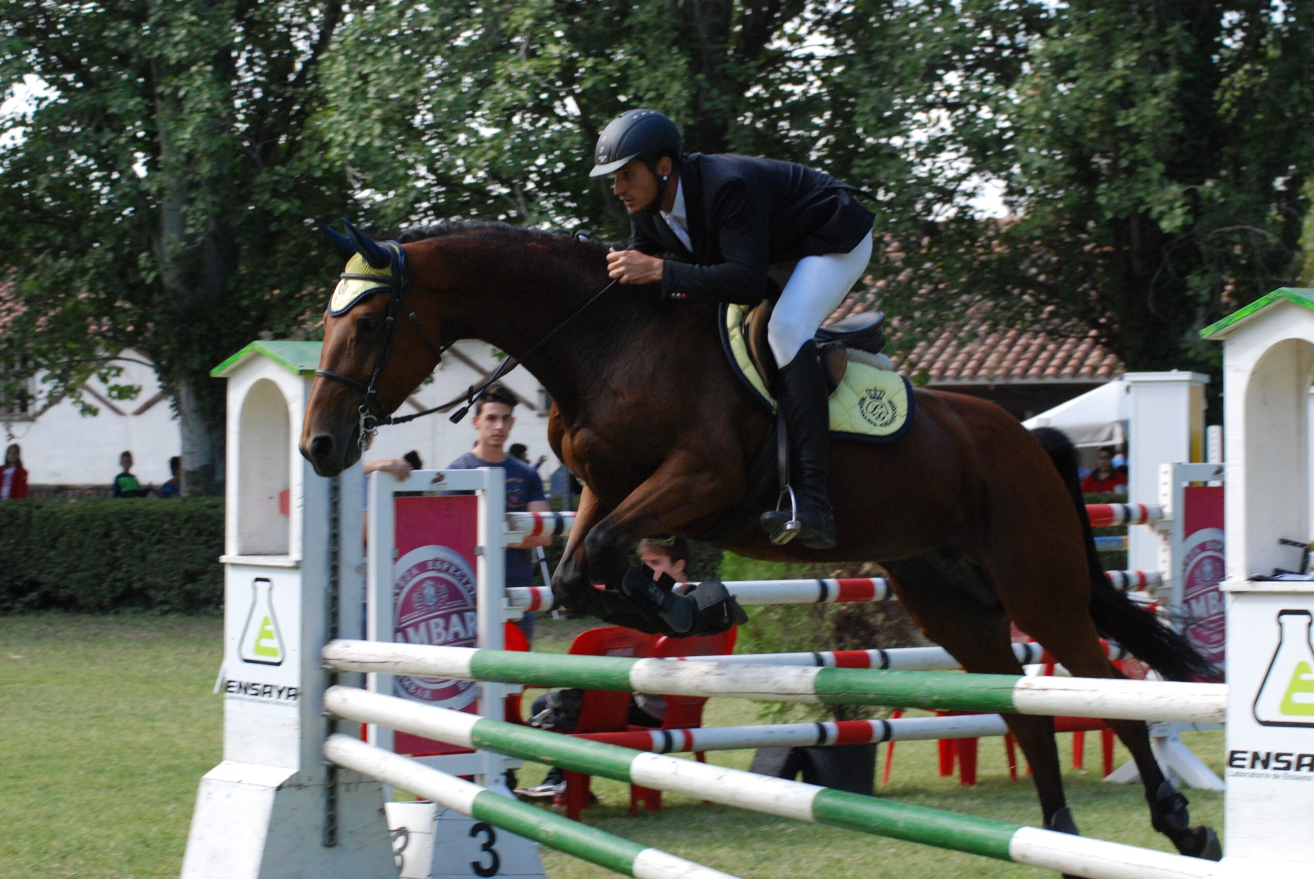 Salto de obstáculos